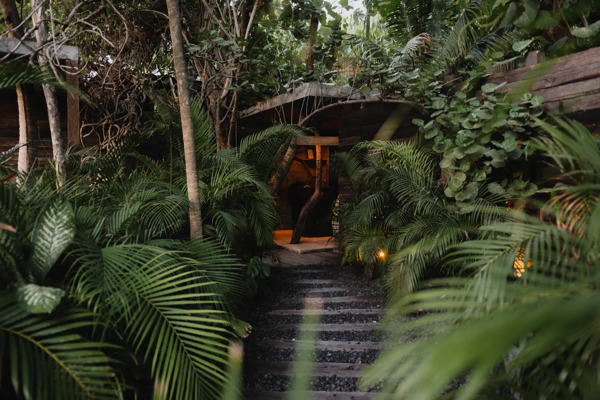 Be Tulum — Jungle entrance