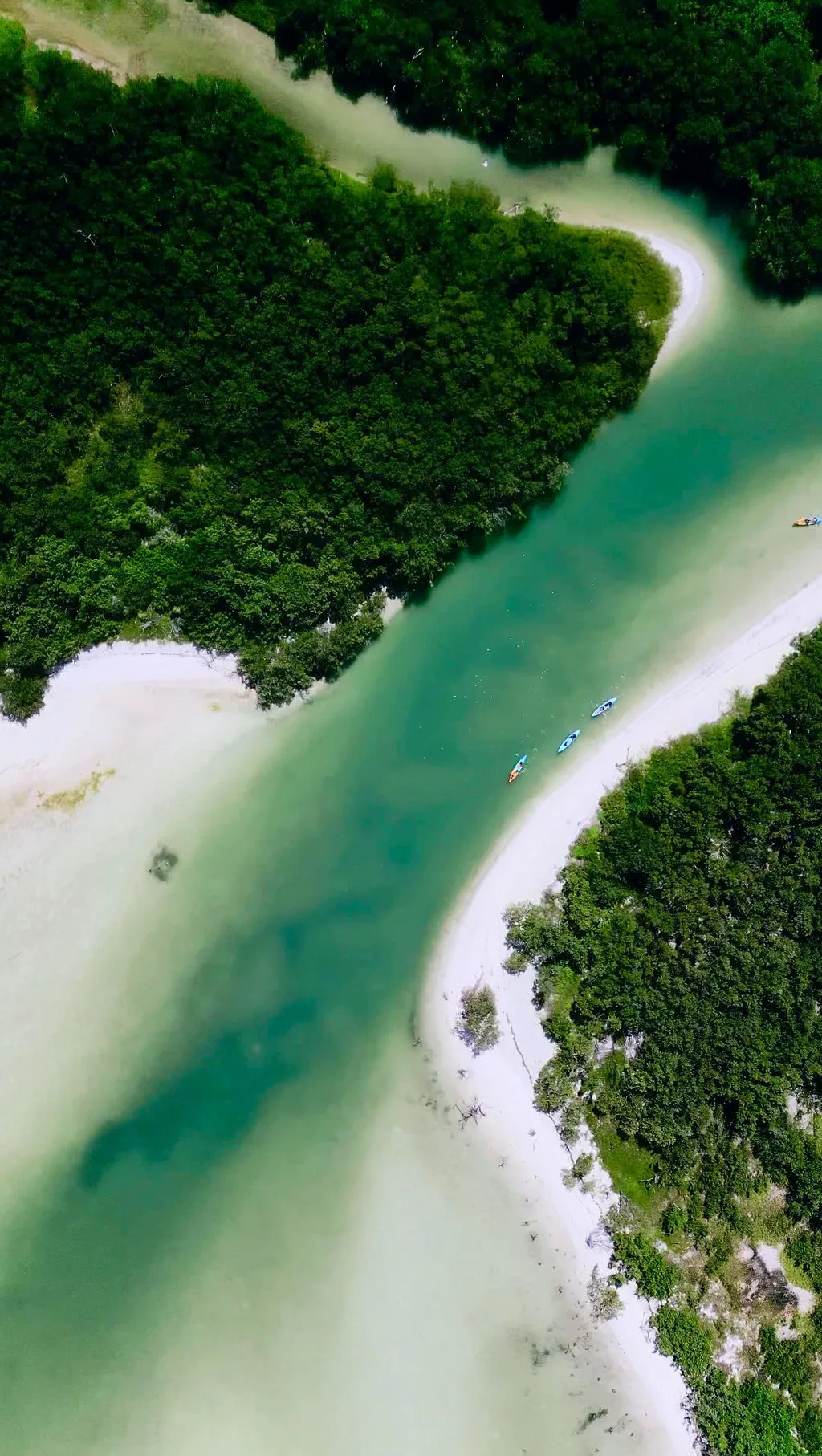 Casa Las Tortugas — Mangrove lagoon — drone