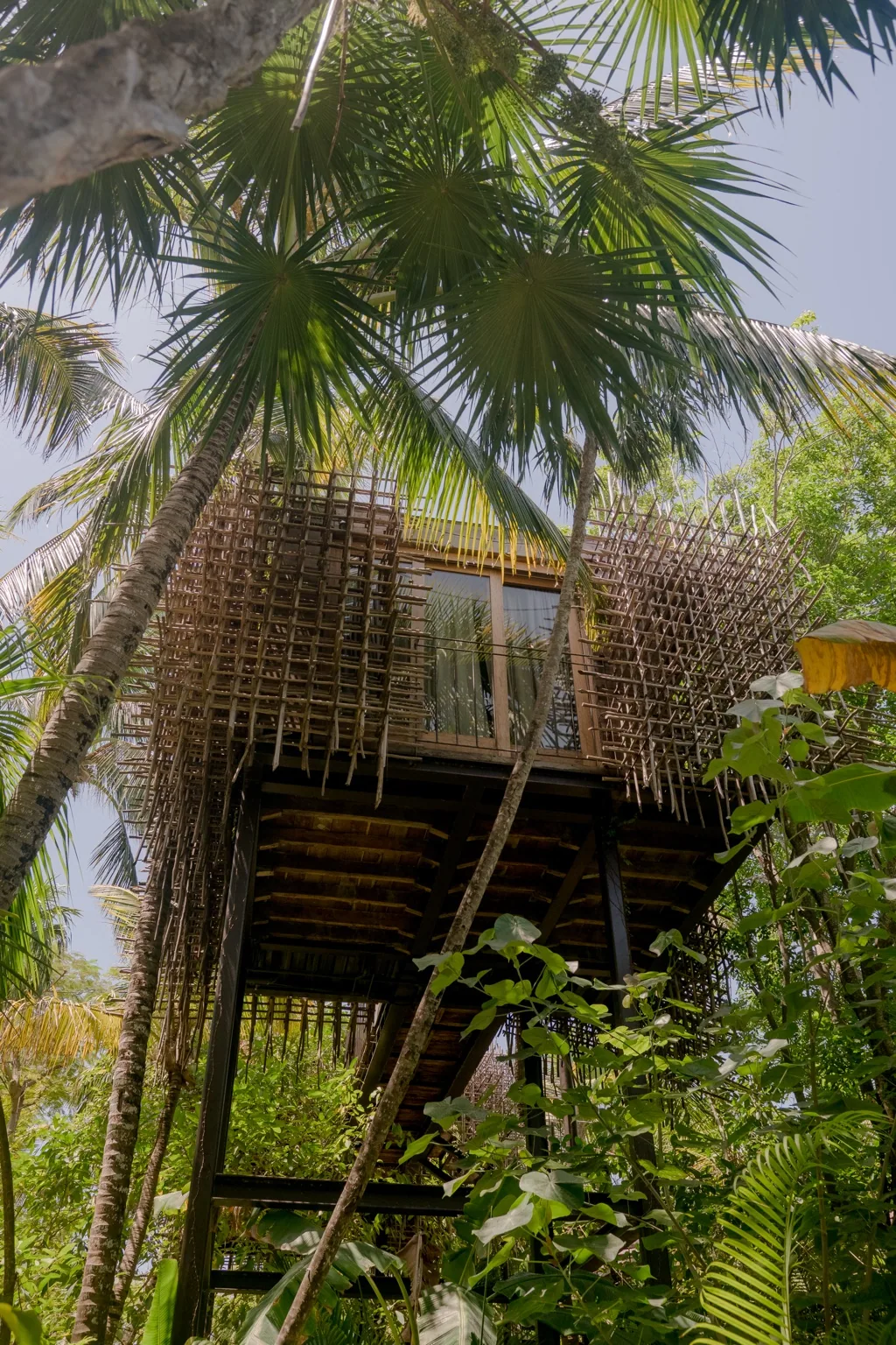 Nômade Tulum — Treehouse exterior