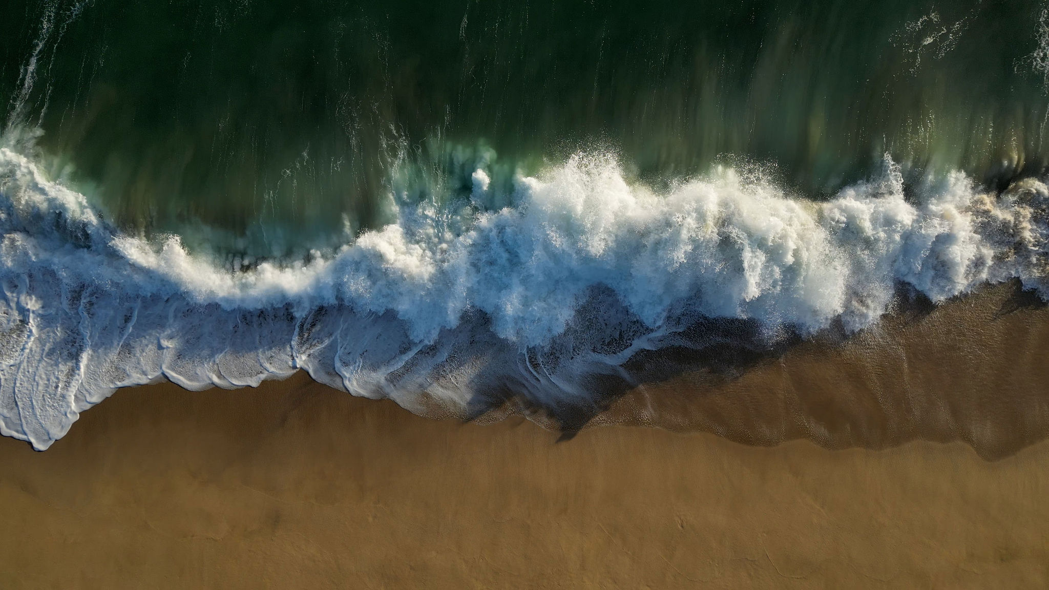 TRIBU Life — Pacific shoreline seen from above