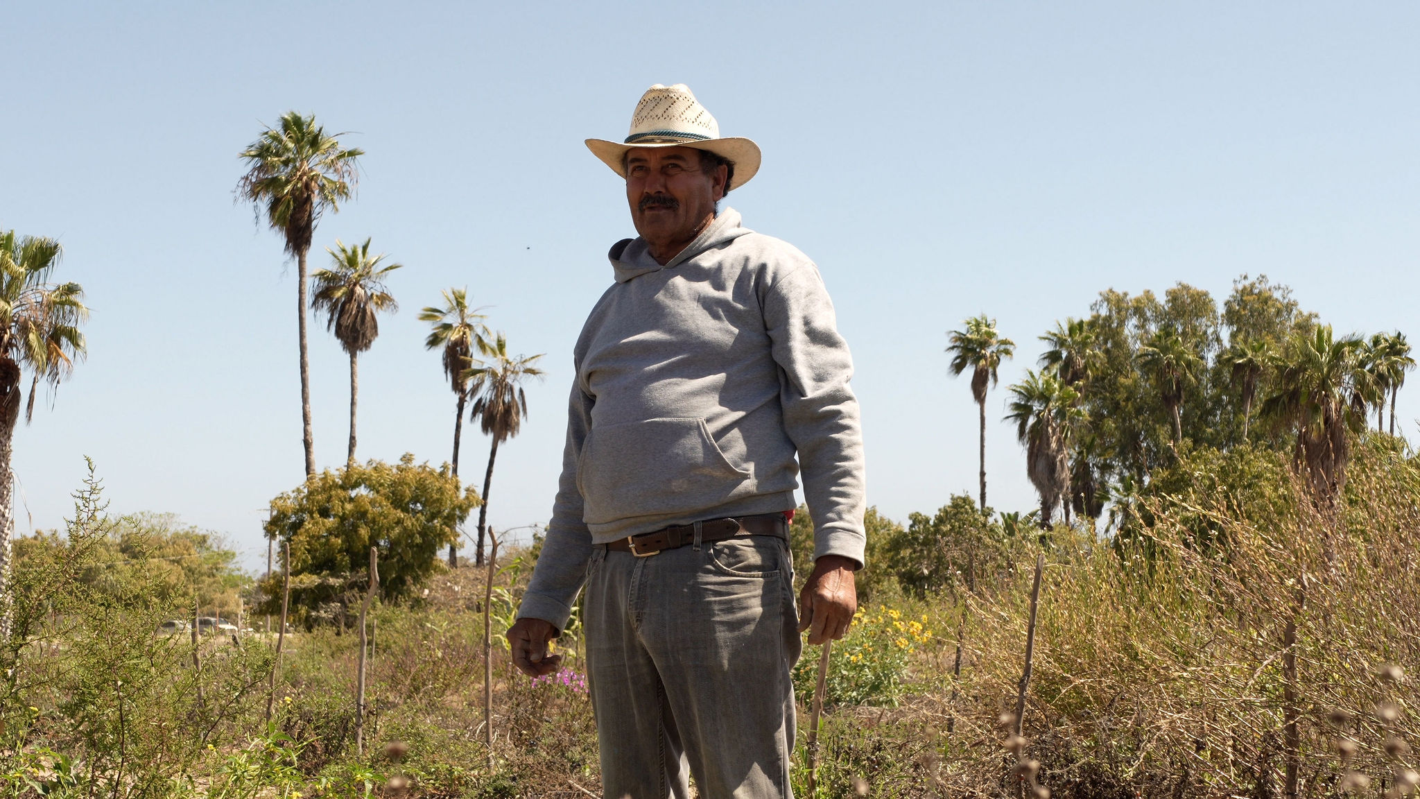 TRIBU Life — local farmer in the fields near Todos Santos