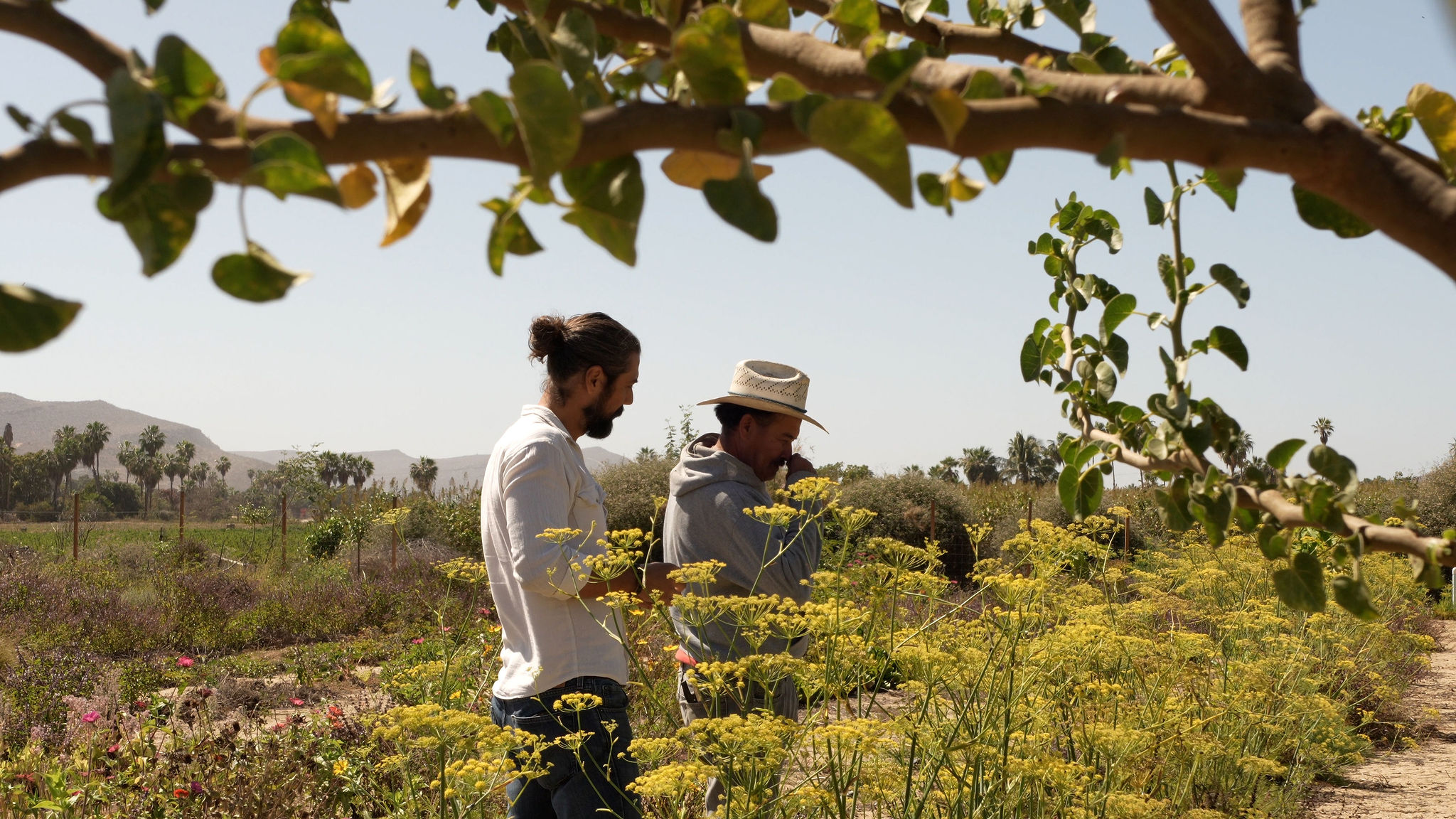 TRIBU Life — conversation in the fields