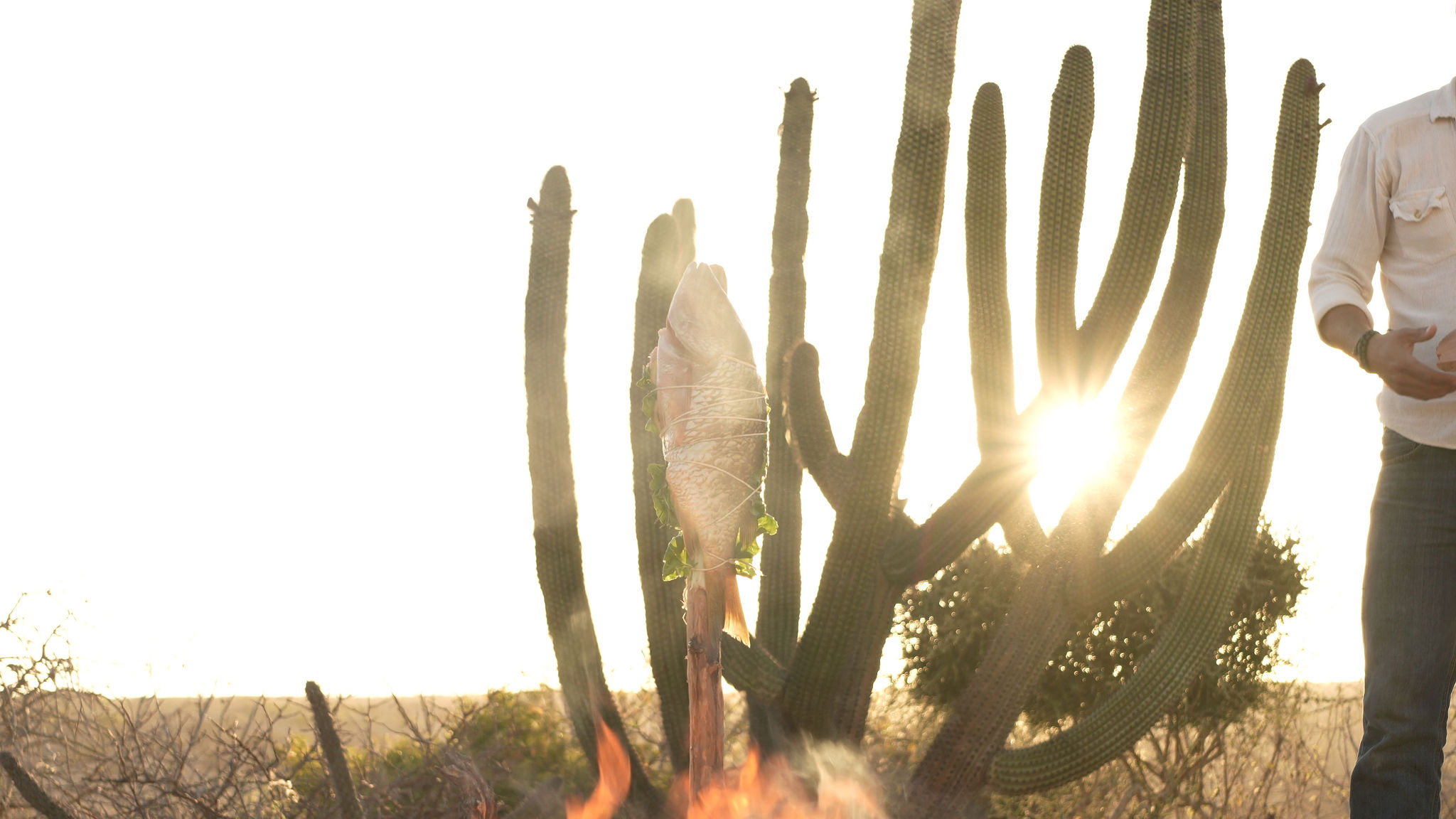 TRIBU Life — fish prepared over fire in the desert landscape